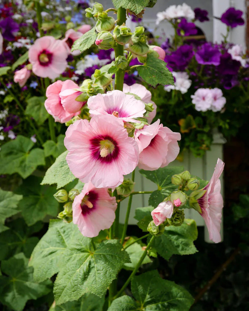 b8f3ef39-1d1f-467f-b66b-fffe382a33d6