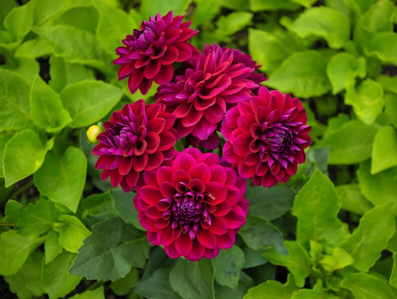 869eb77f-8ac3-4e66-accf-b58ad432fedd