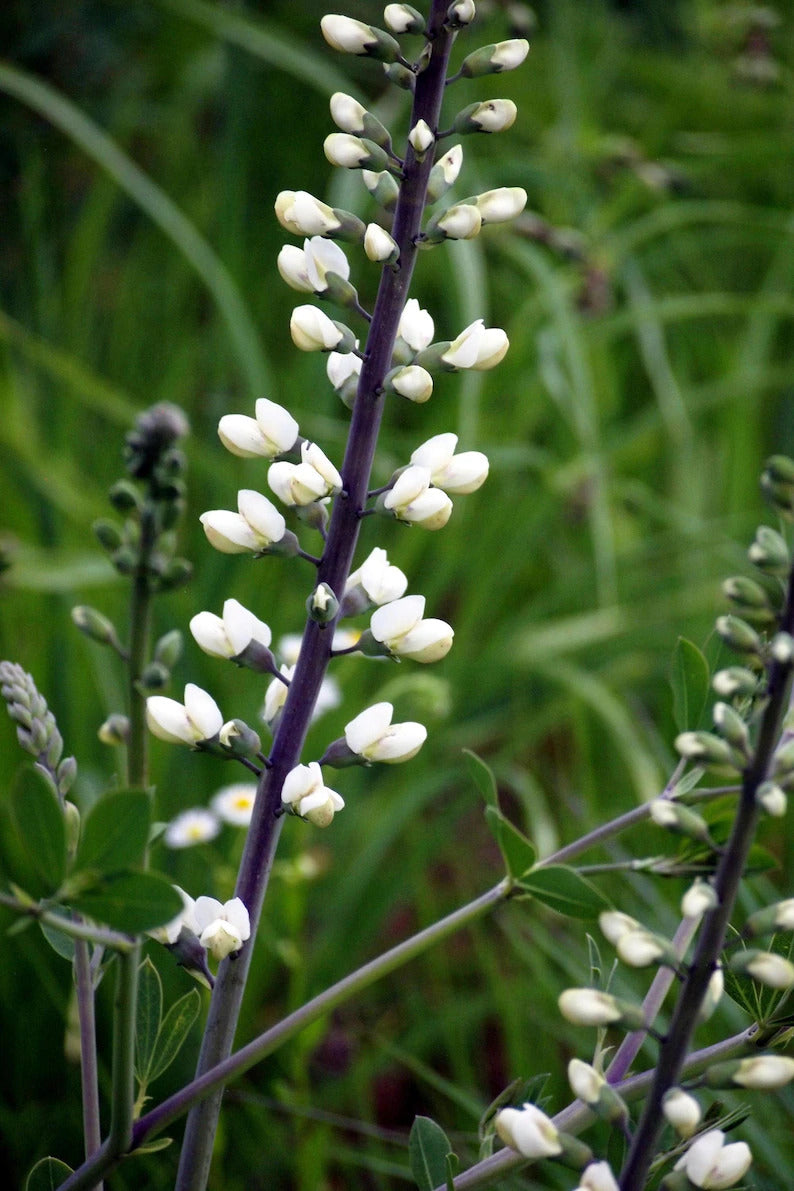 a0fc6b5a-1116-4f7e-bace-253a84a7bcf3