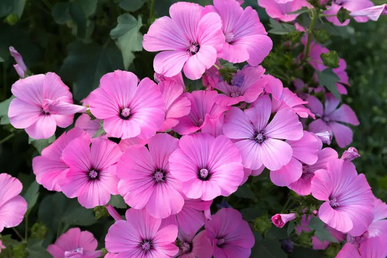 6b97b86c-8092-405b-85f0-e6f8558a998c