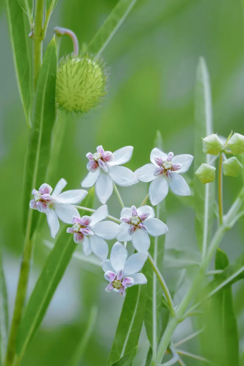 41b7fd35-e764-4dd7-a3ce-853753a886c5