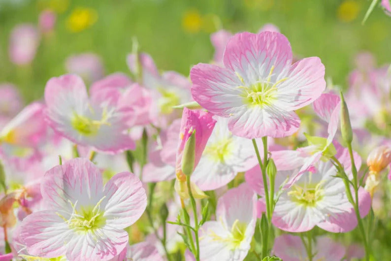 0721c7f9-3e2d-4621-9ce8-e77c16e8a501