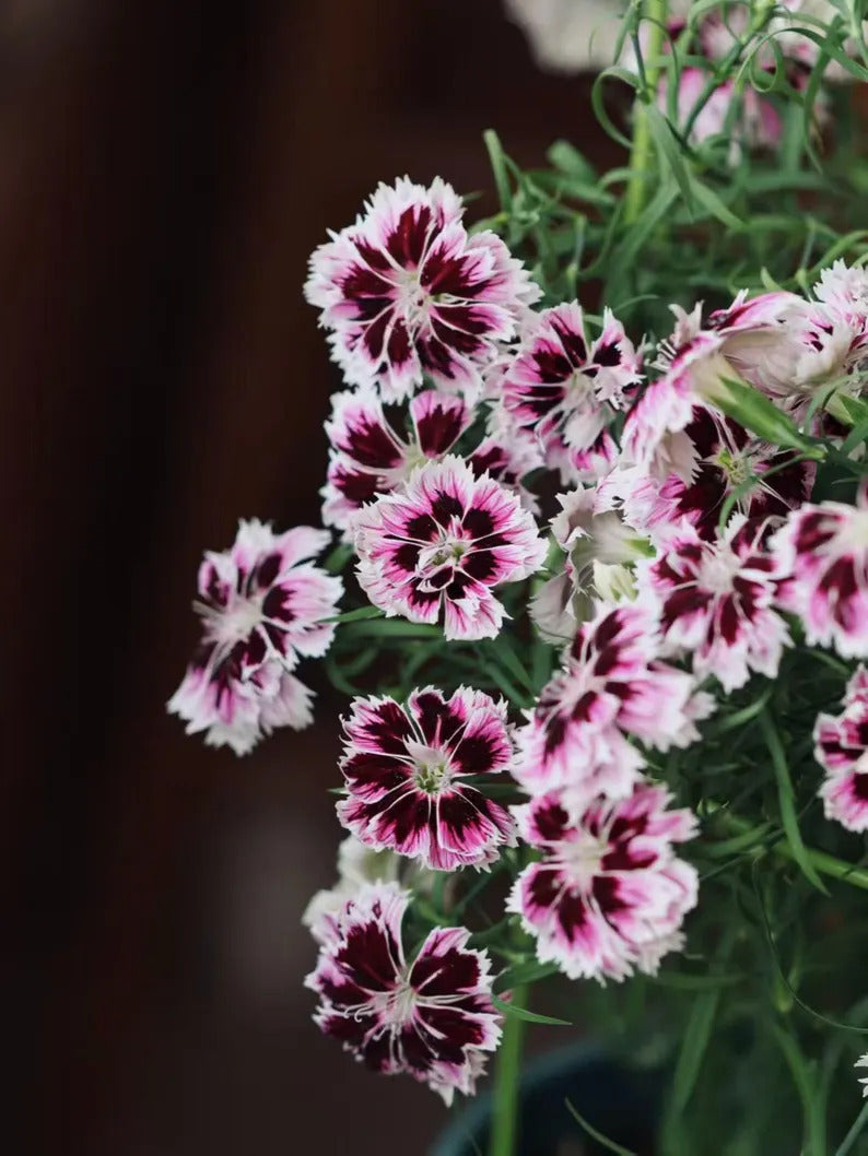 4d50a736-f175-4b6d-bd48-e7beba438f00