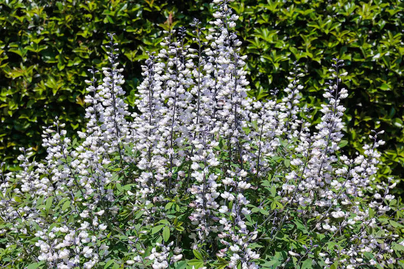 80c64740-9e24-4d1c-be35-a1b26b609b20