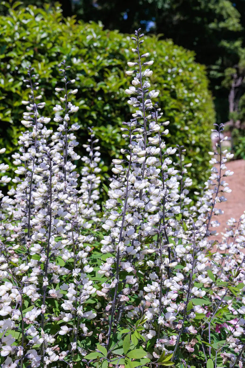 c0cb2aba-7938-450b-a719-ec516fff7953