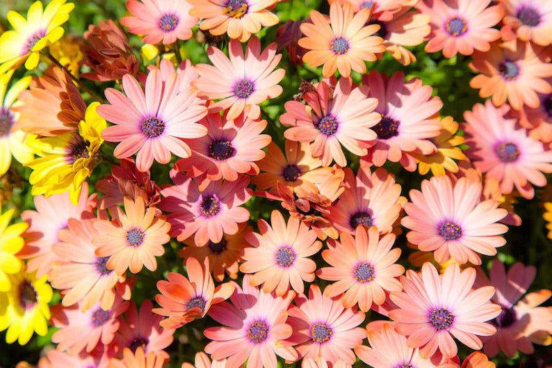 ef56b291-9d43-453d-86d8-364391946b6b