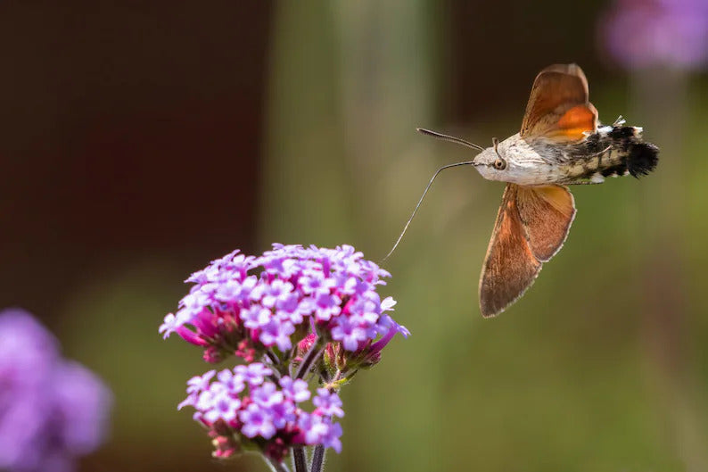 69e1e222-905d-4cf2-99a6-dedec9b80bf5