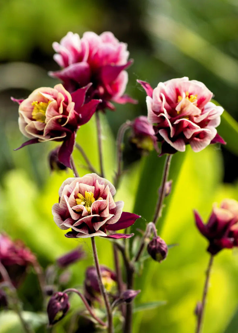 90bfe058-d13a-4917-952b-fe84cffefcb0