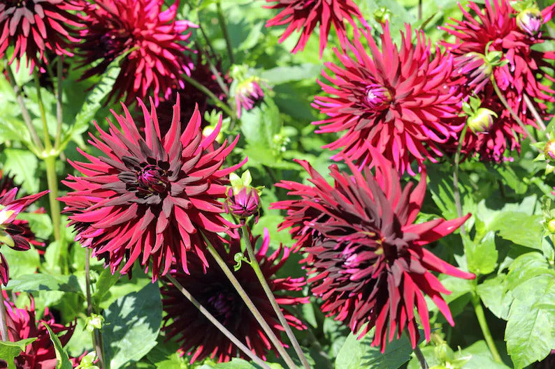 6838cdc8-74b2-4b82-8513-cd81822b6917