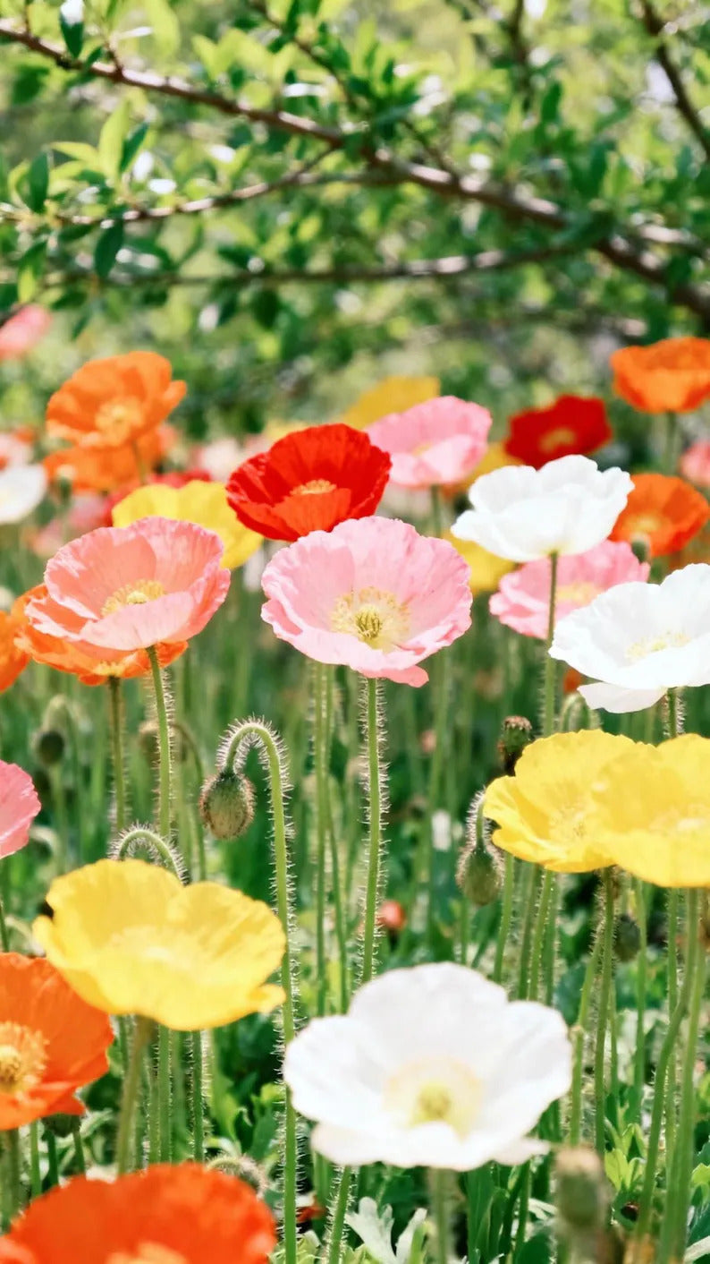 e00ce256-fb85-4951-b5dc-348d3a87142f