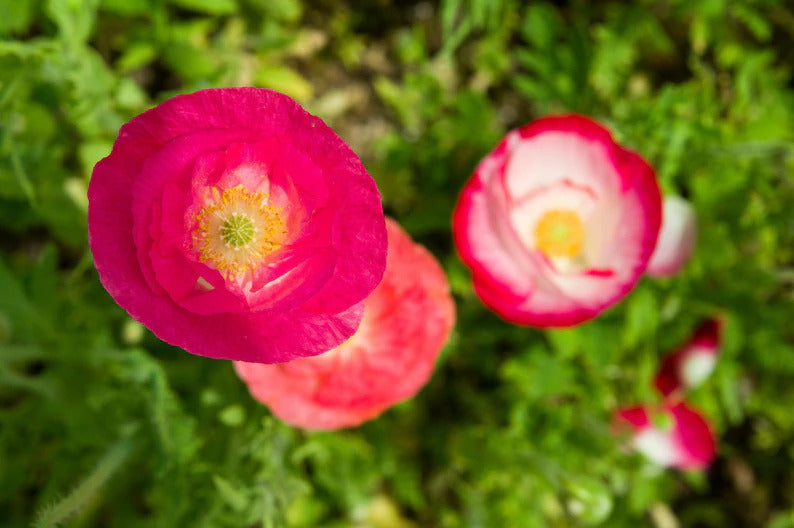 bcb3785c-2eb7-4c6d-b66a-2aadb0a2cb3b