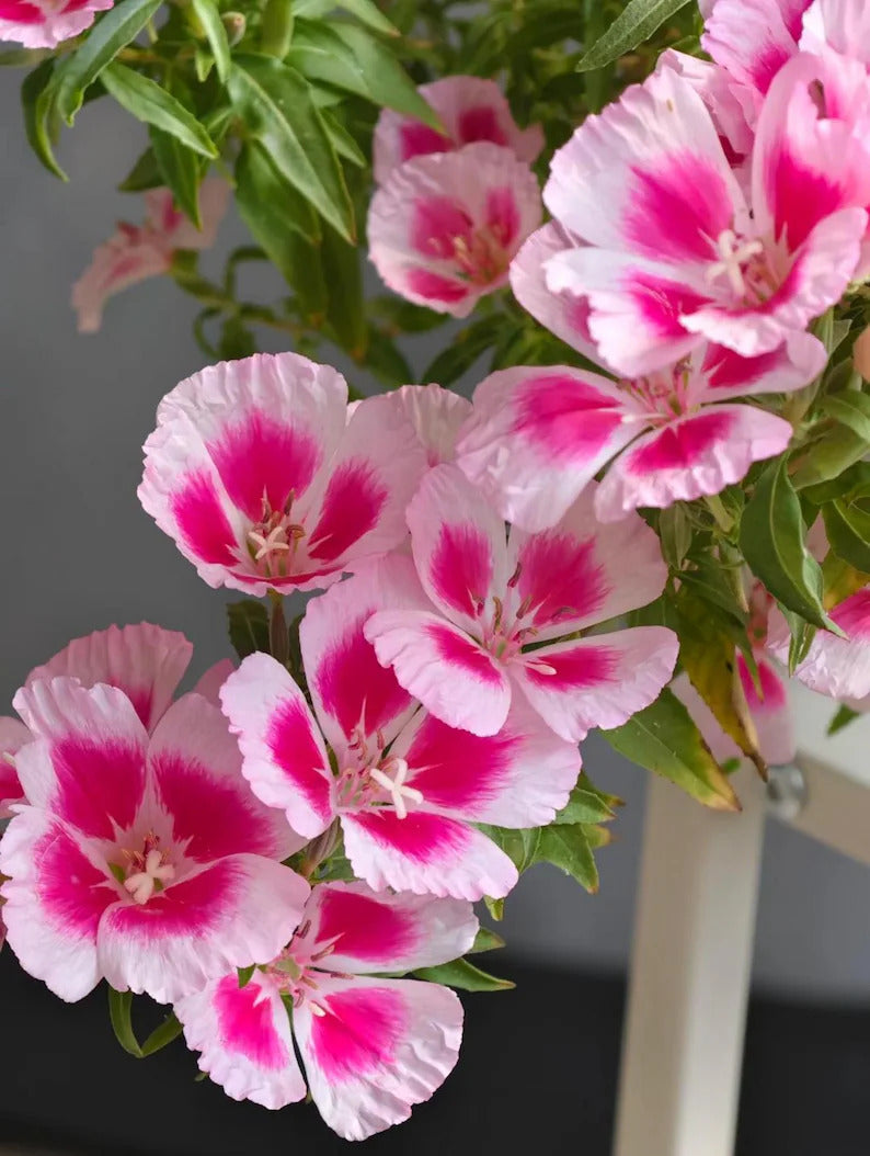 35f632a5-6729-4f3b-956e-63e29443dcde