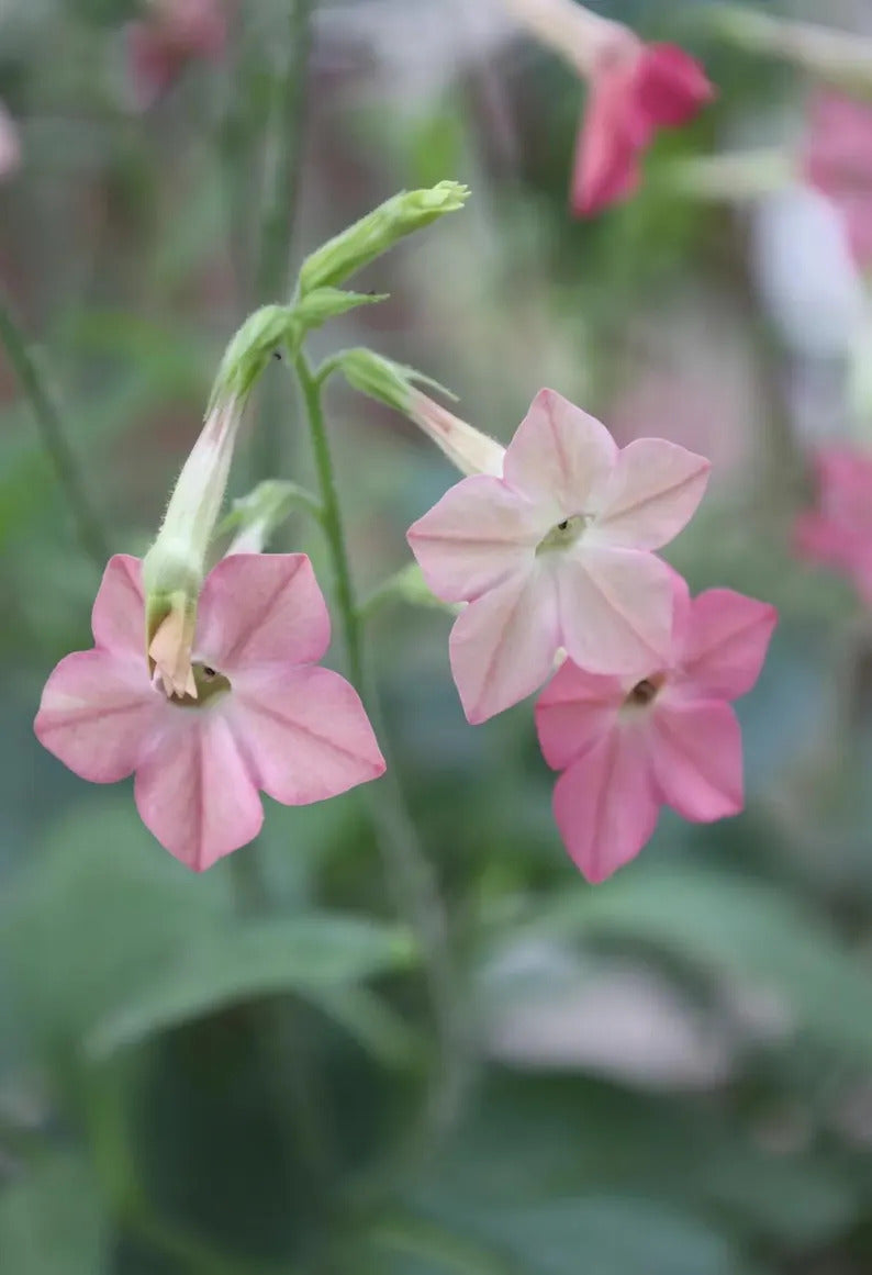 5f7797a4-d7cc-4546-b8f2-bf8b921cdbc1