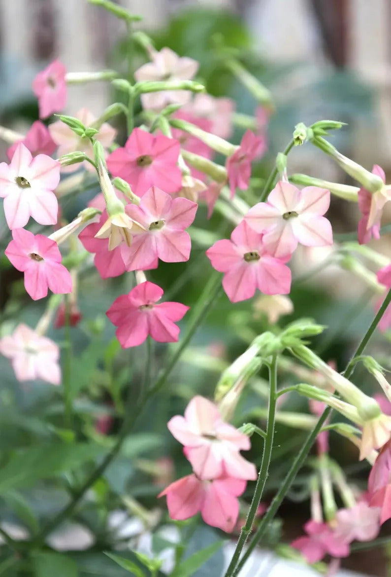 beefa151-ee35-46e0-bae7-1398ce02a8e7