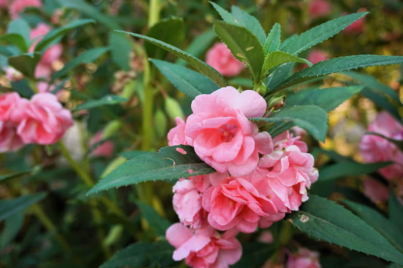 59a8cd62-e486-414d-9b0a-06cee731b717