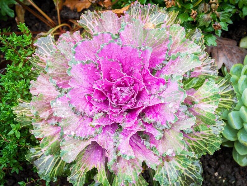 f92eeb01-7780-4f6a-a556-7996c79ad5ec