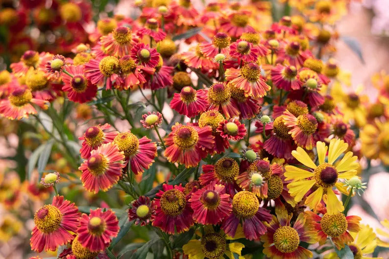 cb9abf22-b7da-4308-b285-9f6ee97223e8