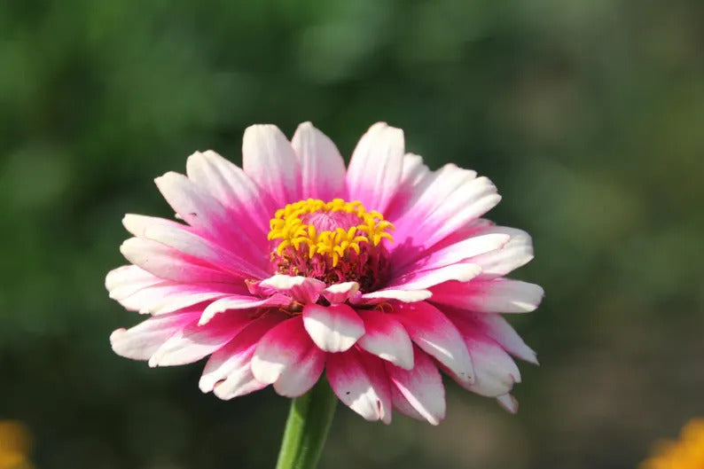 0585e3e9-821a-44e1-87db-d42b9a21d197