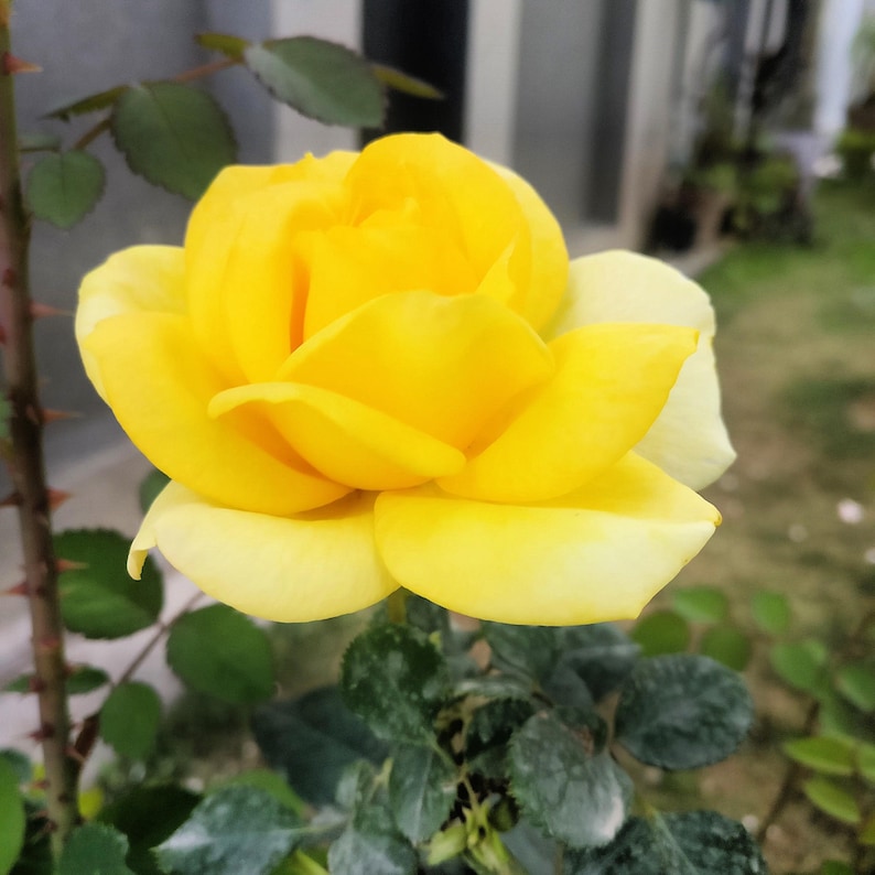 f441d5d6-ab77-4b7d-991f-a2fc565f1606