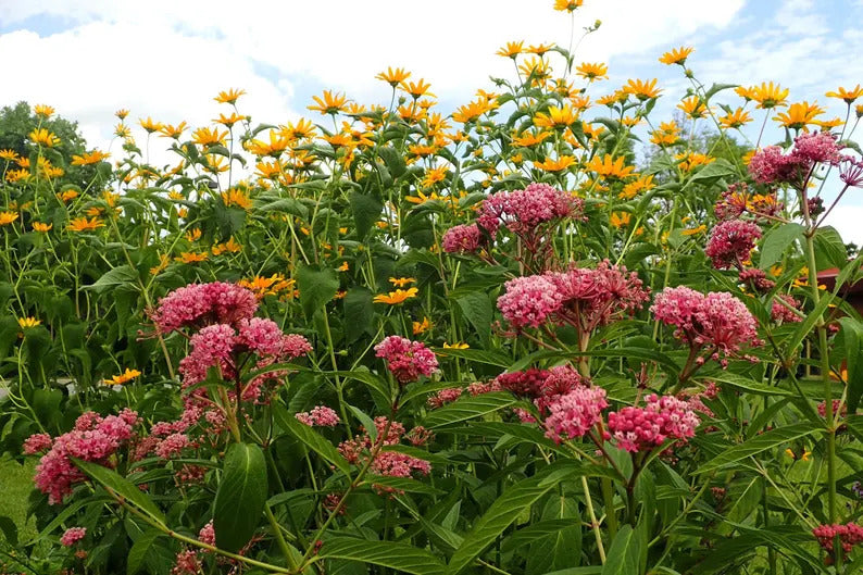 e88adc37-b09d-4599-858a-a08cbc09f116