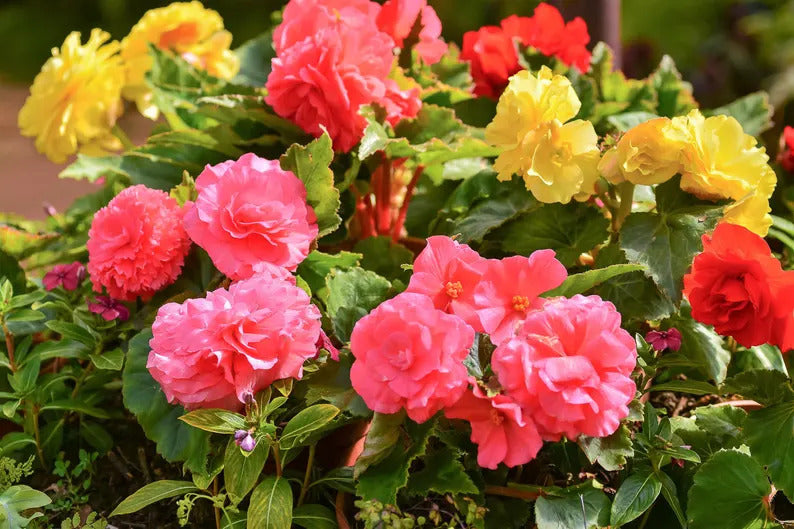 cf525c3d-38d6-42da-bcd2-ef93b9793564