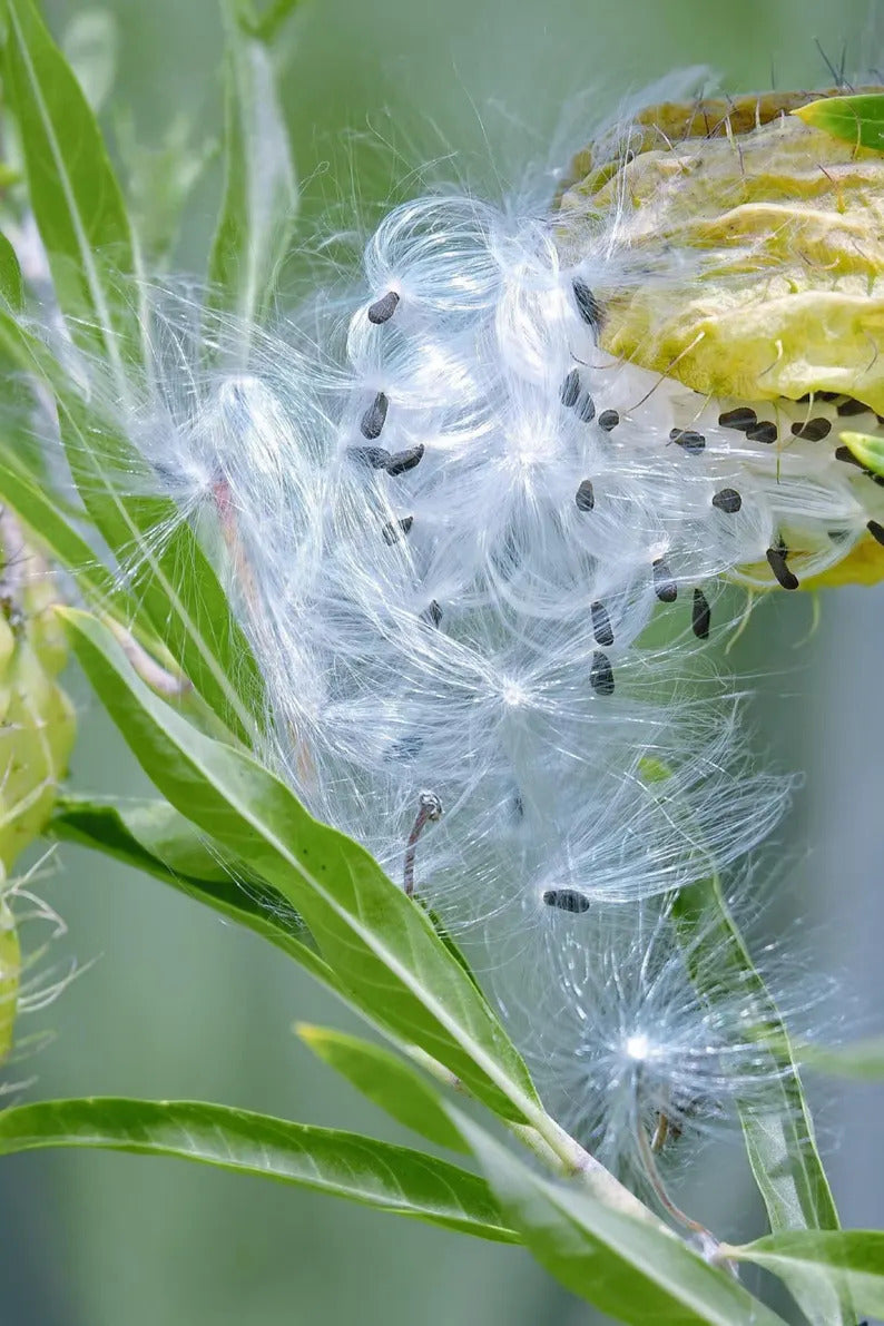 e92419c3-dda8-4916-97c5-3c364b089b06