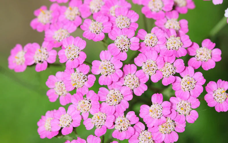 693ec5ec-6080-4926-bf7e-d3aa06ab39ff