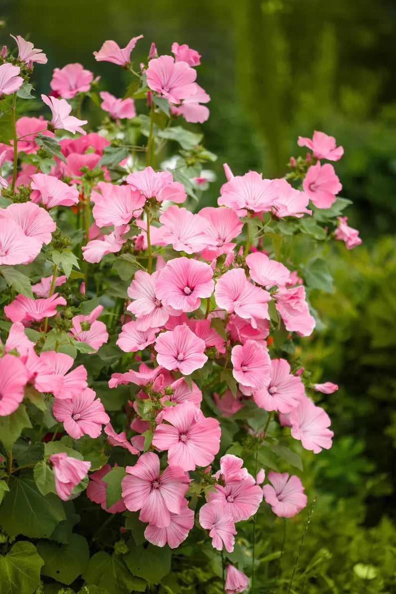 2af4e4bf-10d7-4755-9a32-1a9fe11ce9ea