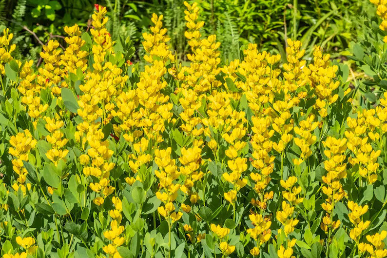 688bd2bb-d23d-4a97-8cb7-ff84393a99ad