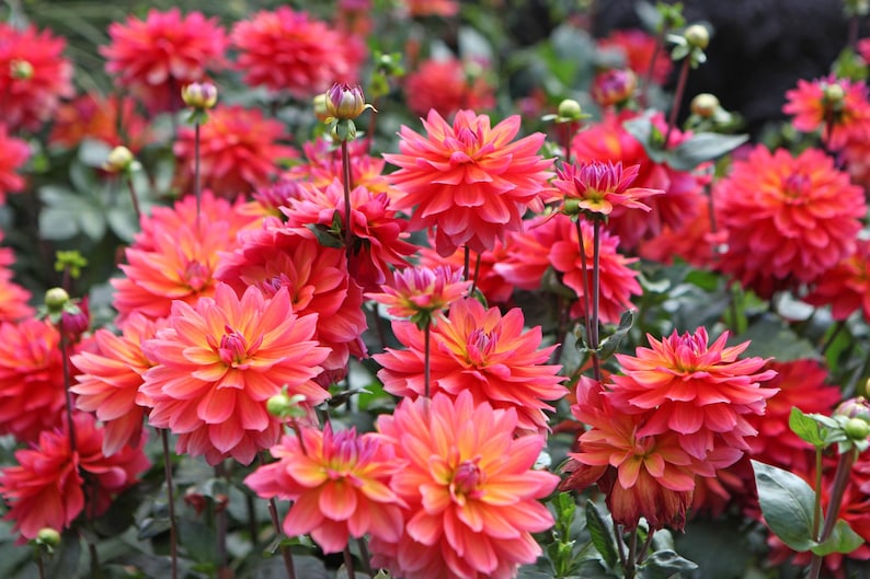 93b8eaf9-f6cc-48e3-bae1-413d65e80586