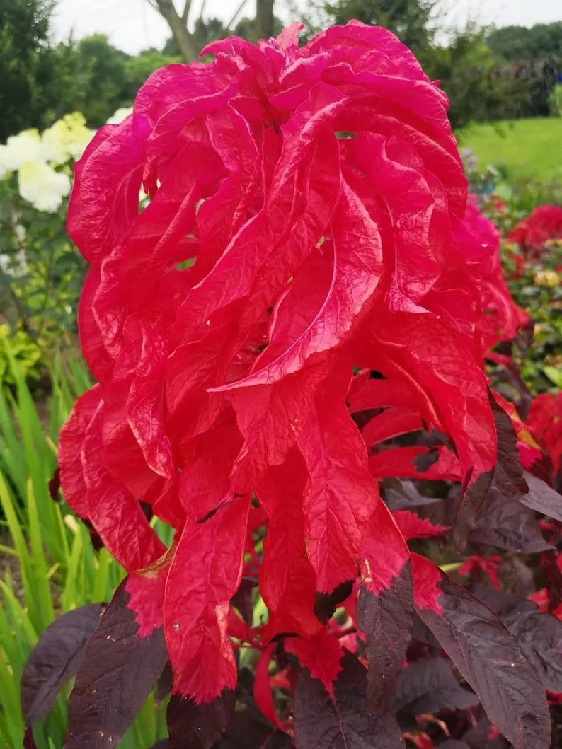 6d98895e-aafa-4f28-a3d1-abfc7073a557