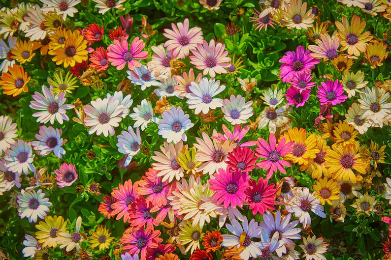 fe972f03-1d02-4ad6-b9ed-f29427984a89