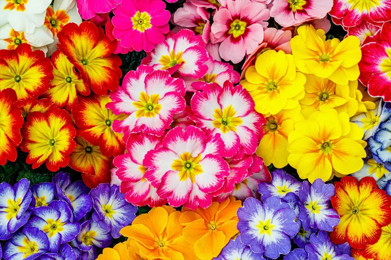 c1b86161-e9a7-4ad7-8f30-08f53f39e421