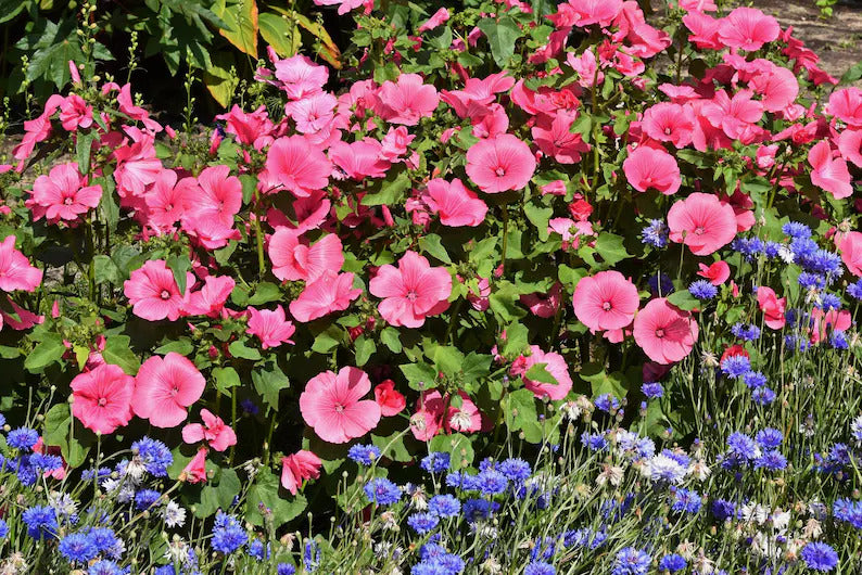 e2eb99ca-b627-496d-99f3-deeca0c41bc1