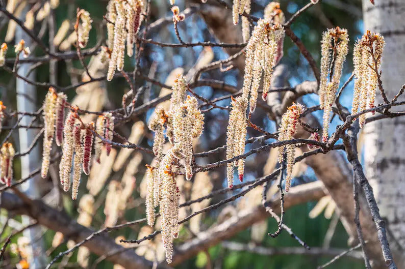 693cd013-666d-44f0-86e5-e297114613c3