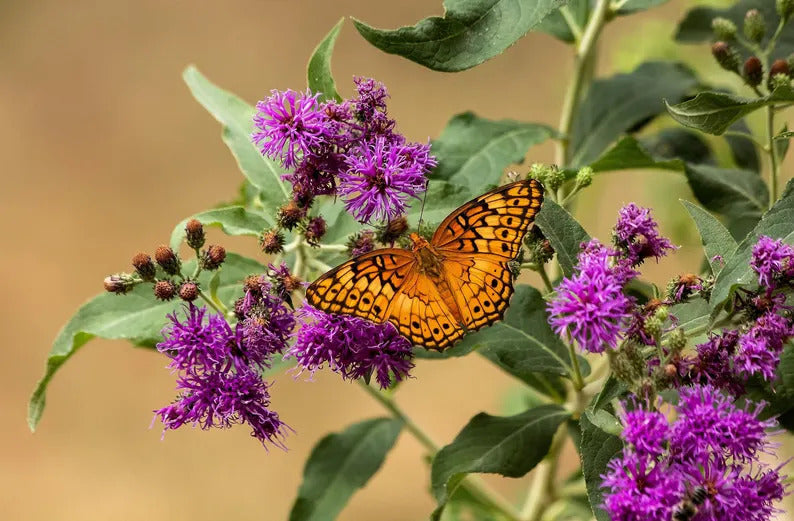 c7431a00-5d30-44cb-b883-d0396cbb63df