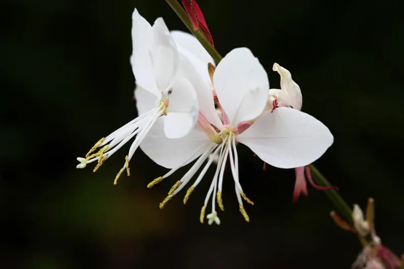 01f63c91-1870-4194-8adb-84fa4d33cb55