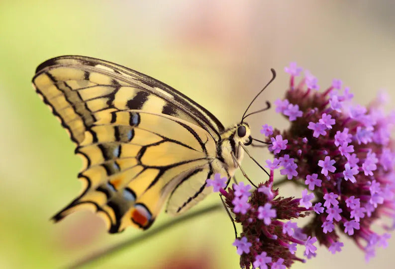 a35598d0-98c1-43f0-9f5c-161c21ed7c13