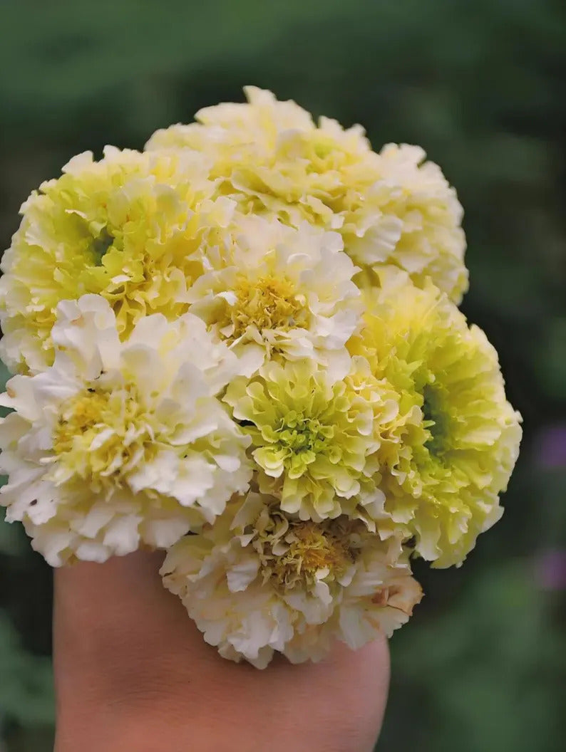 49398e82-e484-41c6-82cc-269a0b264a3e