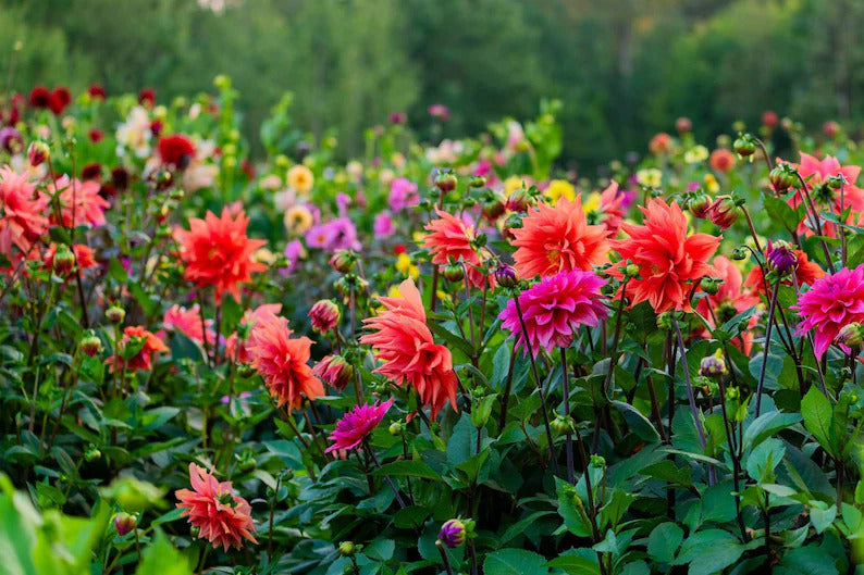 e990a234-bd4f-41f5-b947-b484c328b090