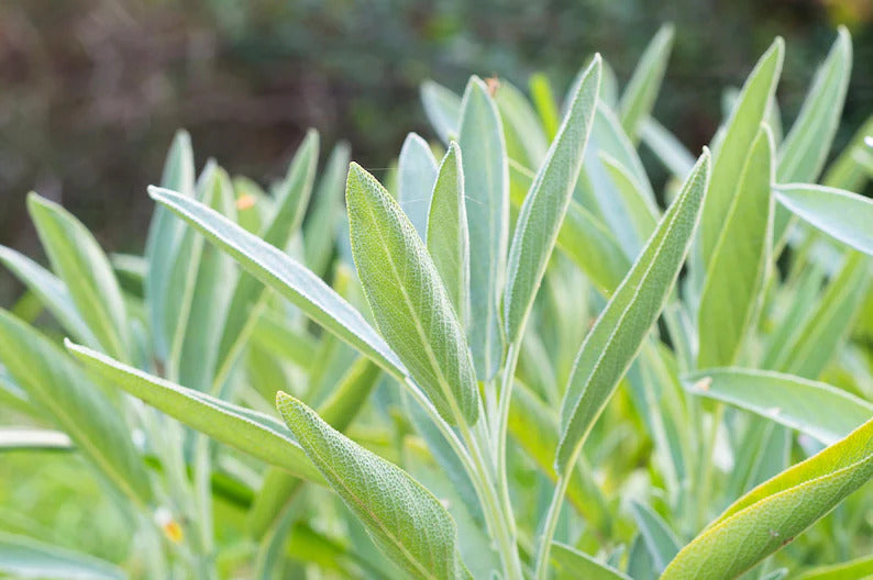 0bfa7476-efba-4cb3-bd08-953e8abdc8b5