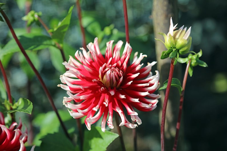 8b39a5cf-f298-4310-b2ae-176d9cbba3be