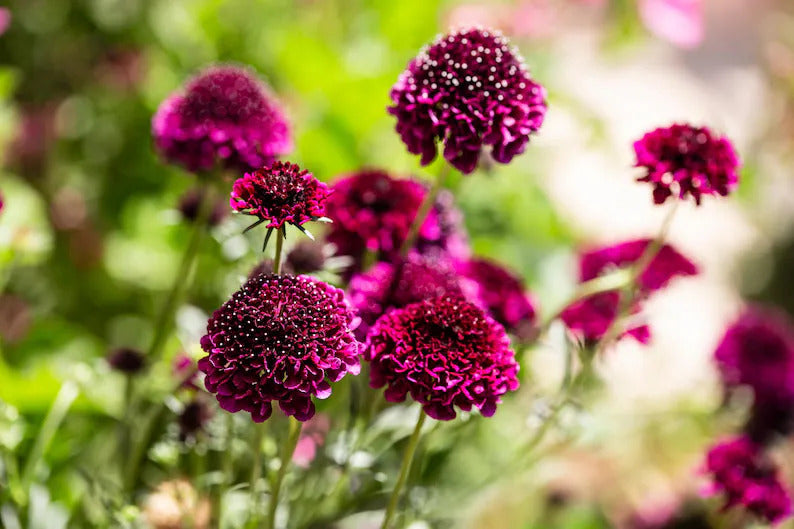 b385c008-075d-4aa5-ad90-5ac55eb2321f