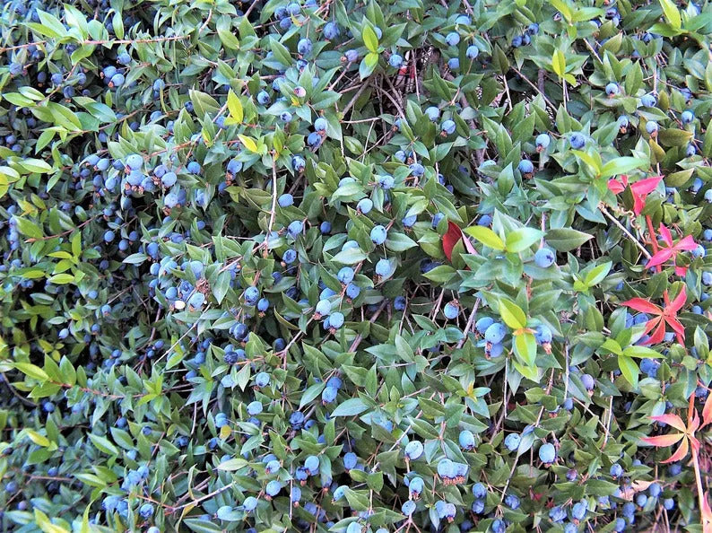 4e963d68-cae3-4d5e-a5da-3cbac0d444a4