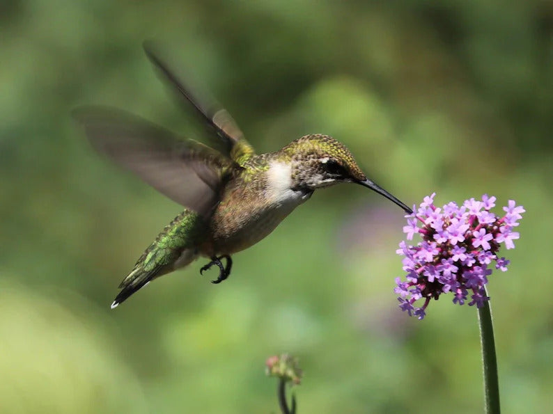 03e220dd-5498-44b1-a5e6-37b5c31a95aa