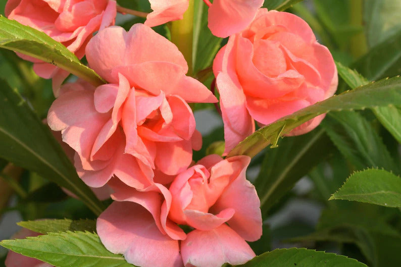 97f31aa7-77b4-407e-b028-cb8050afb87b