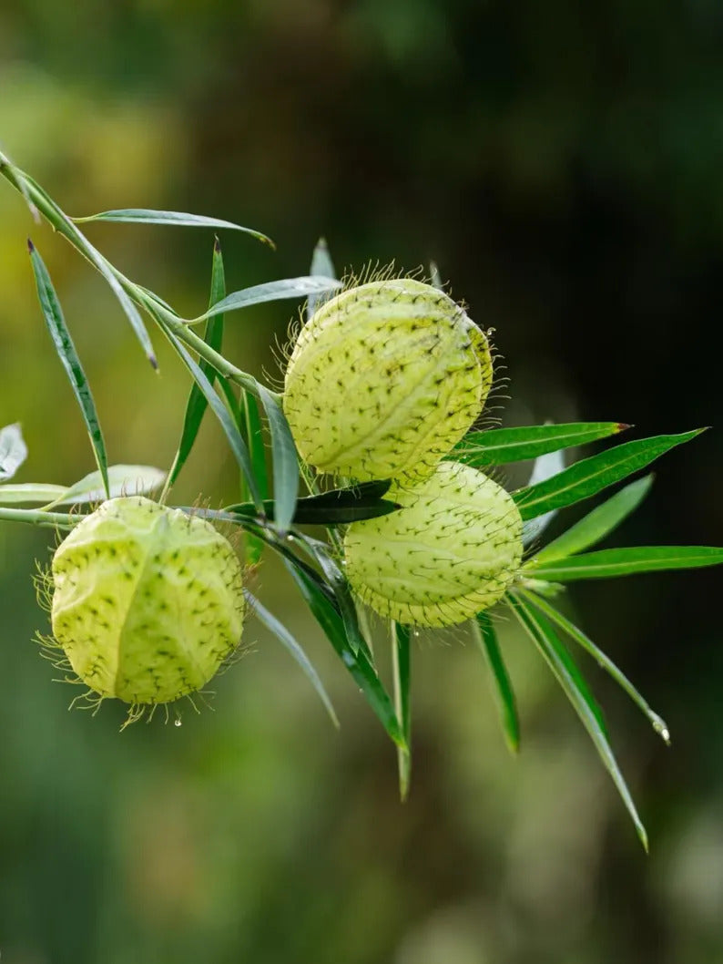 8e7ba14d-beac-4231-b394-bd068c73cdd8