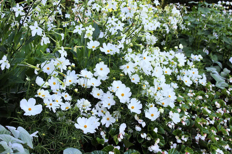 0470a800-e50f-48fb-a30f-ac6a02ec13b8