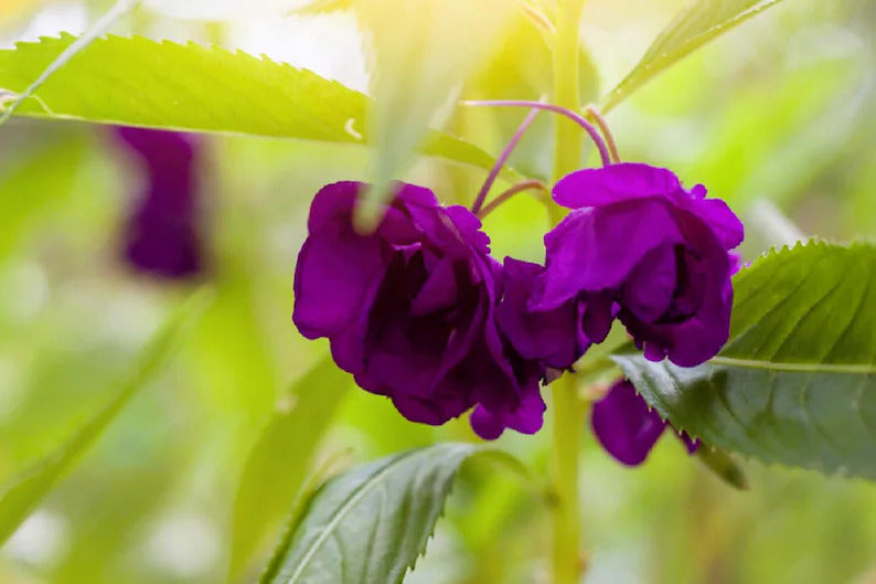 83a6de7e-636c-4dc7-88f4-2b7a371d6dd1