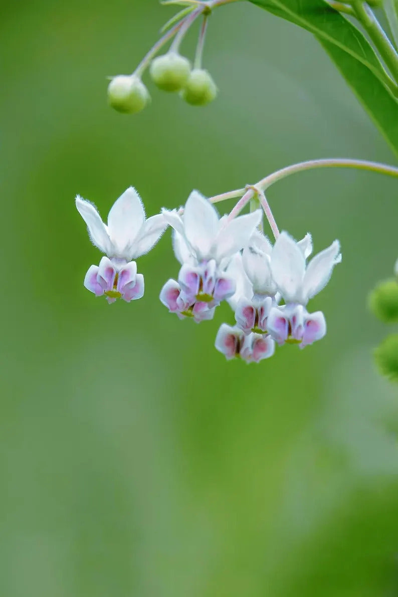 ad96c578-18b5-44e0-b6e6-4cdd8bbd9d8f